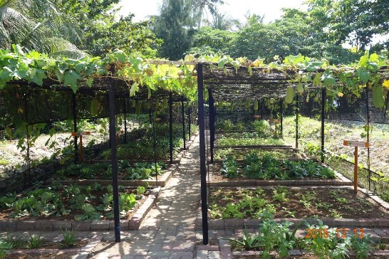 Another view of the farm on Taiping Island
